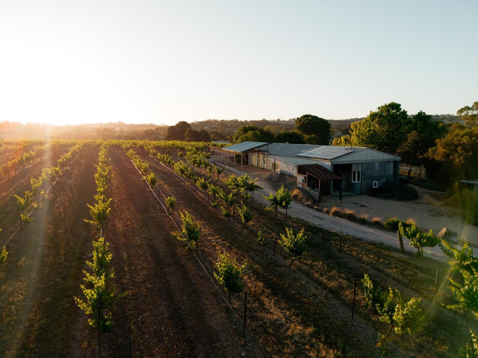 Bed In A Shed Vineyard Stay Watervale Екстериор снимка